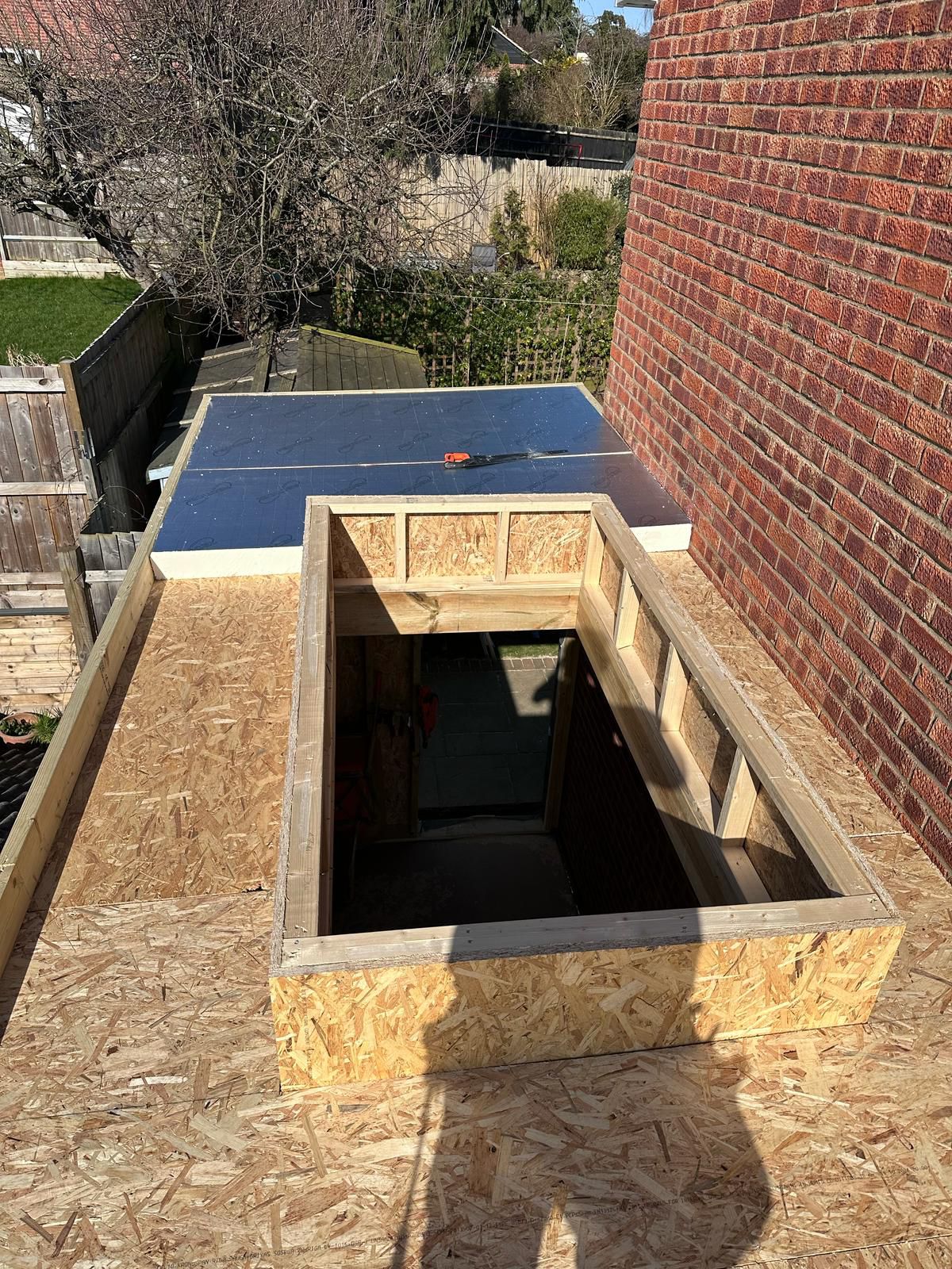 During · Roof lantern and timber structure